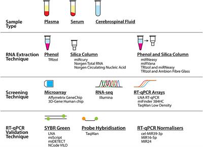 An Overview of MicroRNAs as Biomarkers of ALS